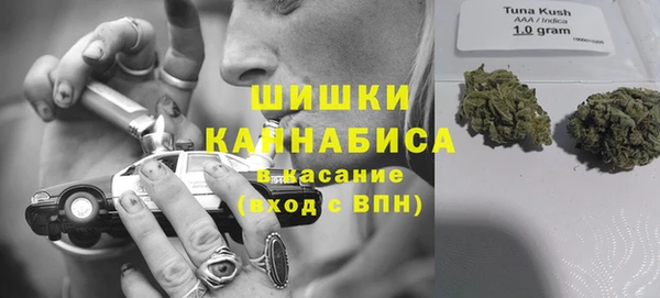 кокс Белокуриха