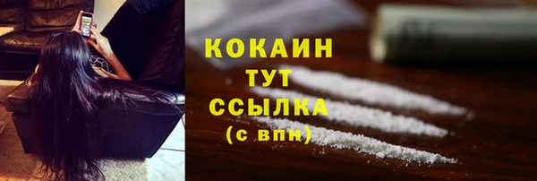кокс Белокуриха