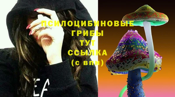 прущий лед Белоозёрский